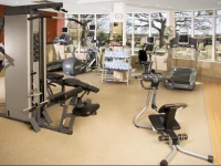 Hilton Garden Inn DFW Airport South 3*