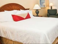 Hilton Garden Inn Addison 3*