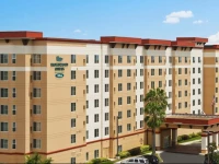 Homewood Suites by Hilton Tampa-Brandon