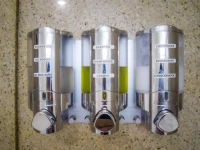 Buena Vista Motor Inn