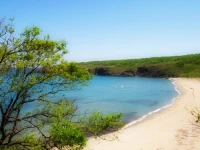 Afalina (РђС„Р°Р»РёРЅР°)