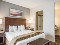 Quality Inn & Suites Hermosa Beach 2*