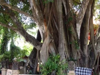 Peneeda View Beach Hotel 2*