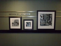 Hampton Inn & Suites Springboro 2*