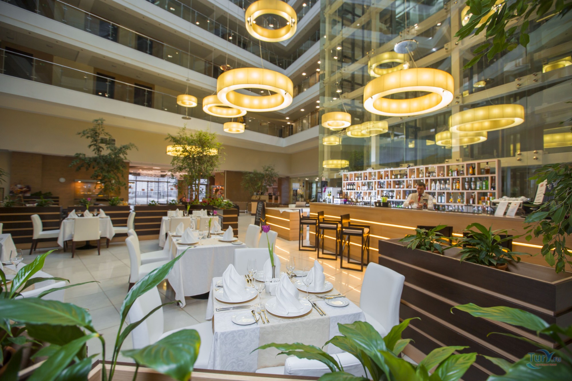 Бридж сочи фото Бридж сочи фото