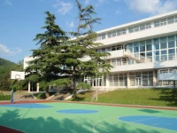 Stremitelnyi children's camp