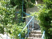 Р¤Р»РѕСЂР°