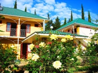 Orhideya holiday house