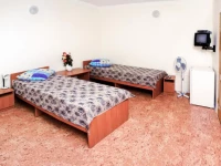 РћР°Р·РёСЃ 2*