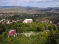 Institut Niska Banja