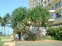 Regency Hotel San Juan 4*