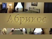 Abrikos Hotel Perm 4*