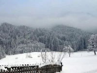 Buchacher Apartements 