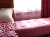 Priyut Poeta Hostel 2*