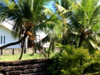 Silver Sands Hotel 2*