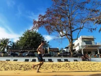 The Hammock Samui Beach Resort 3*