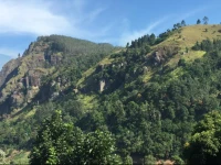 Country Homes Ella 2*