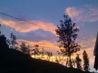 Vantage Home stay Ella 1*