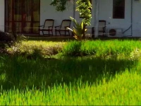 Mihini Hotel Habarana 2*