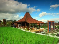 Ubud Heaven Penestanan Villa 4*