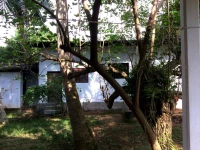 Surya Inn Wadduwa 2*