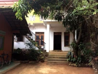 Lion House & Tailoring 2*