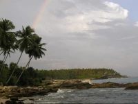 Rocky Point Beach Bungalow 3*