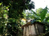 Babi Guest House Ocean View 1*