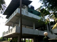 Green Peace Beach Inn 2*