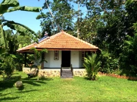 Surt Paradise Cabanas 3*