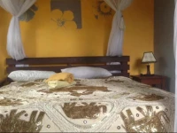 Dillons Bungalows and Restaurant 2*