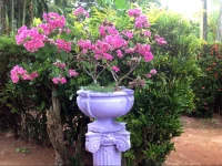 Chaya Villa Guest House 2*