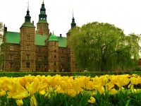 РћС‚РµР»СЊ 4* 4*