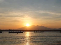 Why Not Bungalows 1*