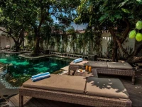 Scallywags Mango Retreat