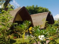 Turtle Gili Meno Bungalows