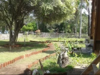 Island Lake Bungalows