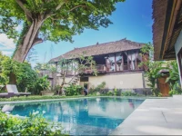 Little Tree House 2*