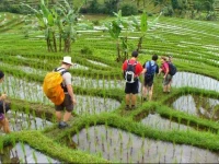 Sri Deva Guest House