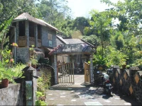 Pandan Home Stay