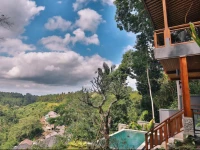 Bali Ubud Villas View