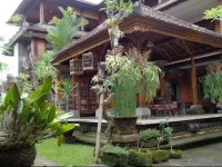 Mawar Homestay 3*