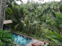 The Desa Ubud