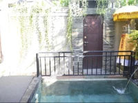 Villa Wayan 3 Ubud 3*