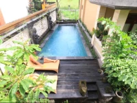 Frangipani Bungalow 1*