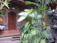 Indra Homestay