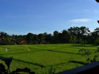 Dana Sari Accommodation 2*