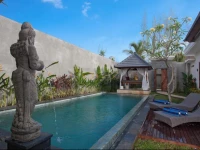 DSawah Bali Villas and Spa 4*