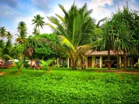 Timeless Villa Ahangama 3*