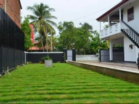 Water Lily Anuradhapura